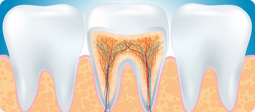 SW Calgary Root Canal Therapy | West Peaks Dental Suite | General & Family Dentist | SW Calgary